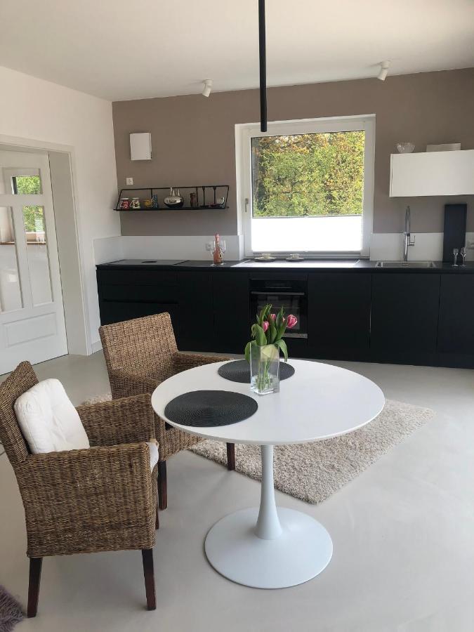 Ferienchalet Burgenblick ريدنبورغ المظهر الخارجي الصورة