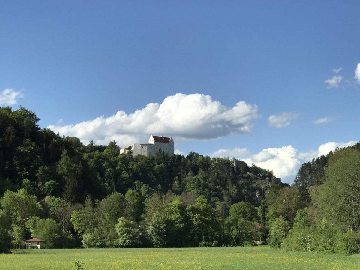 Ferienchalet Burgenblick ريدنبورغ المظهر الخارجي الصورة